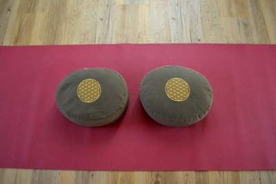 Einzelunterricht bei 2plusyoga Anke Weiss